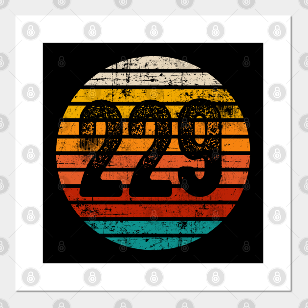 Distressed Vintage Sunset 229 Area Code 229 Area Code Posters and